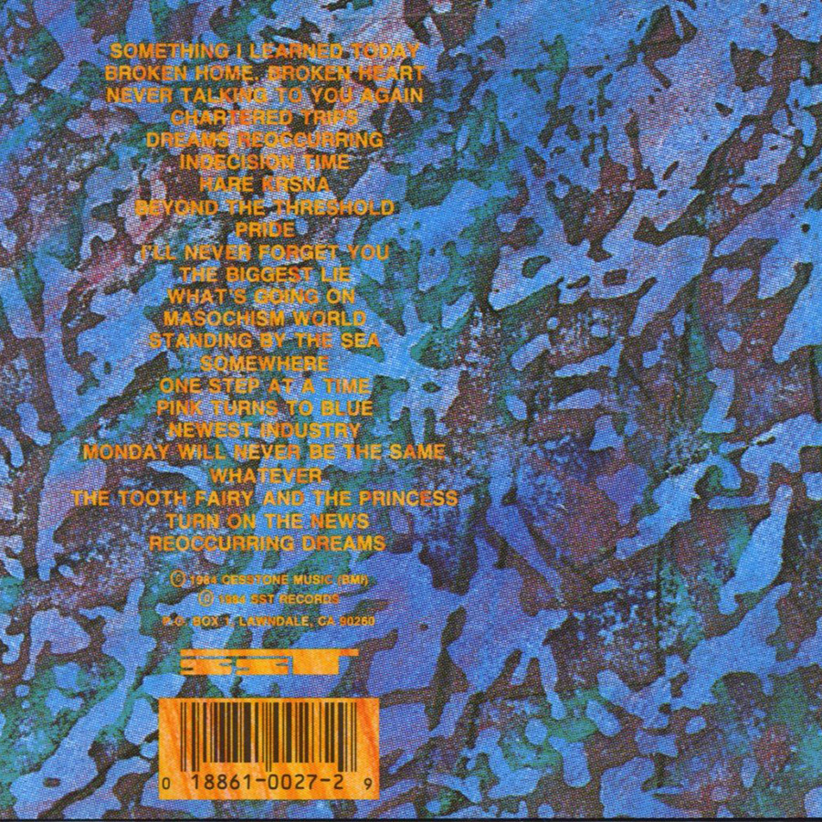 Back Cover - Zen Arcade (1984)
